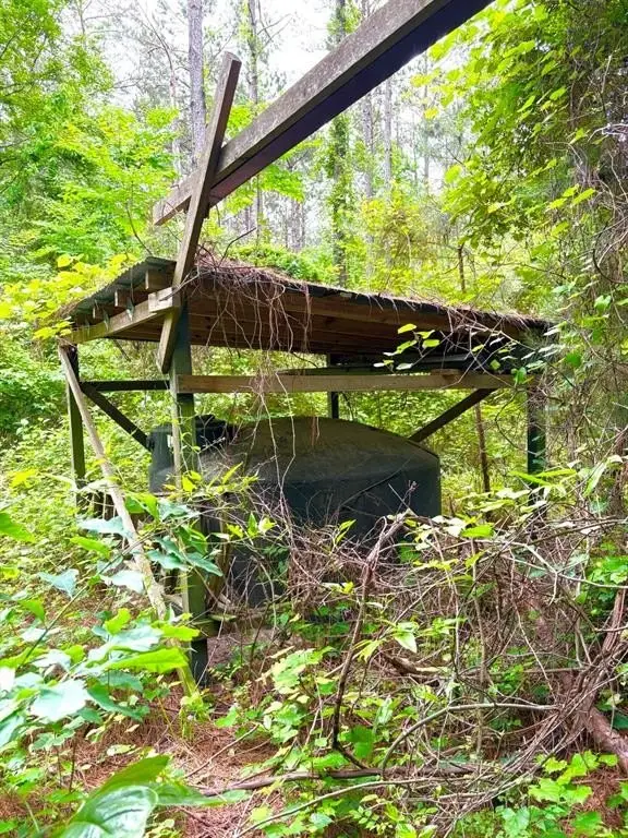 Picture 4