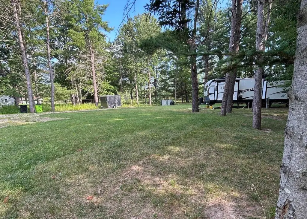 Picture 5