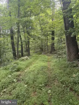 Hunting Land