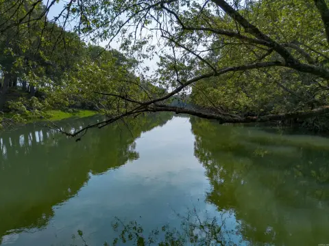 Picture of Land at Old River Rd 000, Pangburn, AR