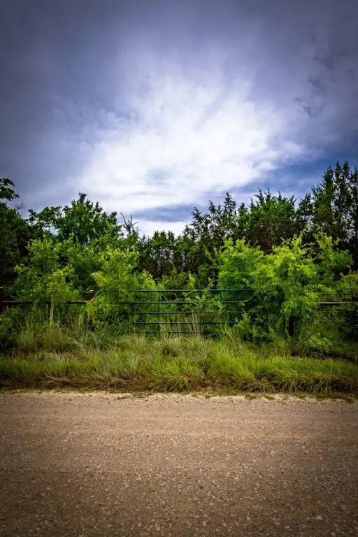 Picture 13