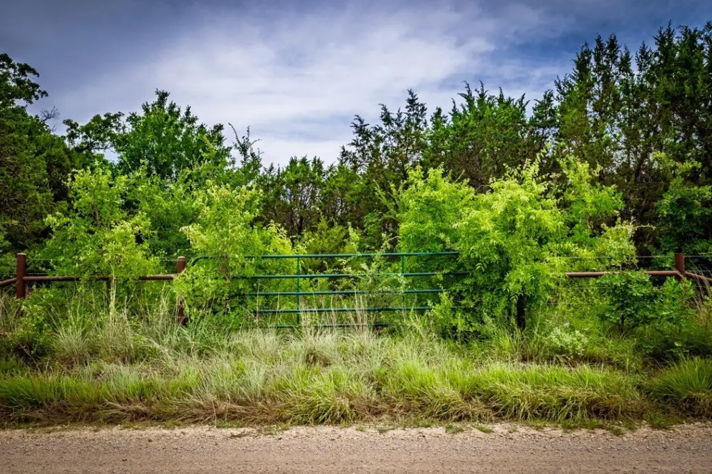 Picture 10
