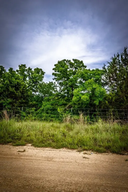 Picture 12
