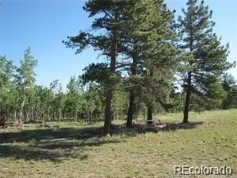 Picture of Residential land & home lots at 257 Bolster Drive, Hartsel, CO