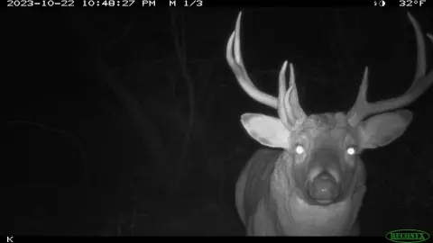 Prime Hunting Land in Wisconsin