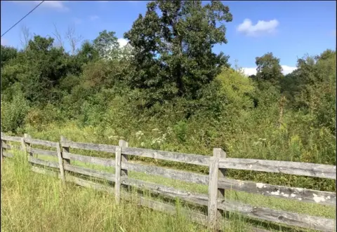 Unrestricted Land in Dalton, Georgia