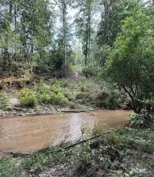Picture of Hunting land at 0100 Mineral Springs Rd, Jay, FL