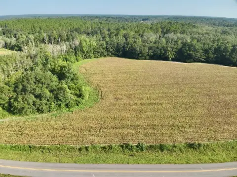 Residential Land in Florala, AL