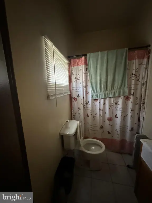 Picture 23