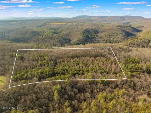 Wooded Rural Land