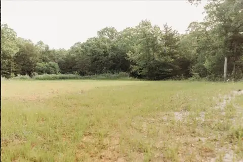 Picture of Residential land & home lots at 137 Yucatan Village Court, Gordonville, TX
