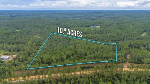 Picture of Hunting land at C-6 Chapel W Road, Laurel Hill, FL
