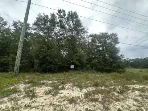 Picture of Residential land & home lots at W US 90 Highway, Defuniak Springs, FL