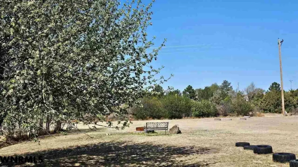 Picture 17