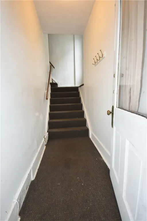 Picture 20