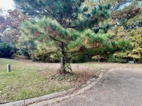 Picture of Residential land & home lots at Ashton Place, Clinton, MS