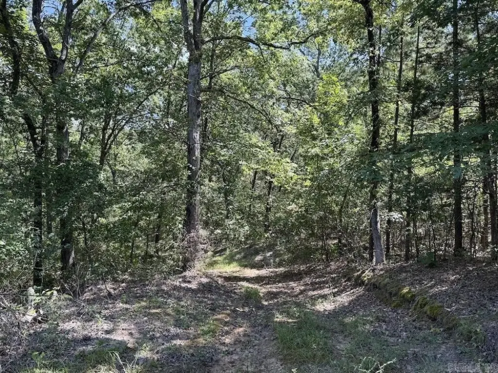 Picture 4
