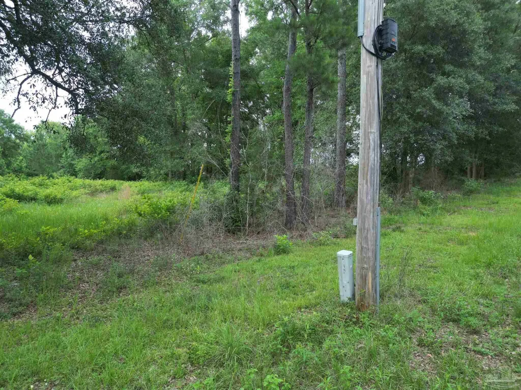 Picture 18