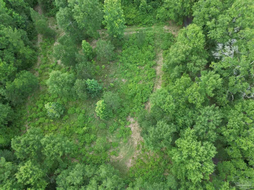 Picture 2