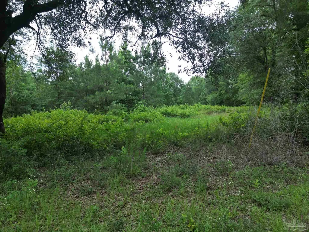 Picture 14