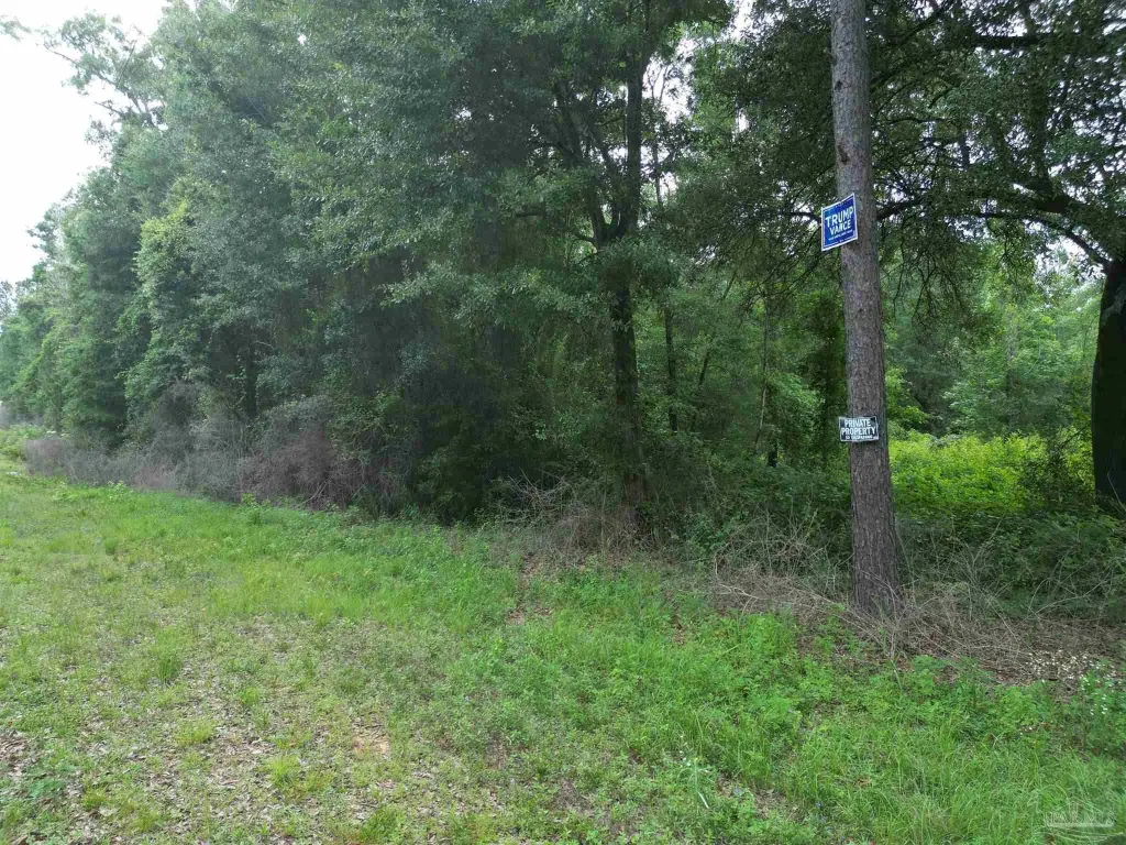 Picture 19