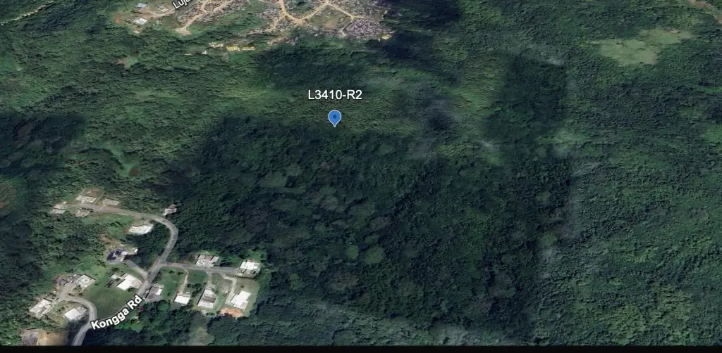 Picture 5
