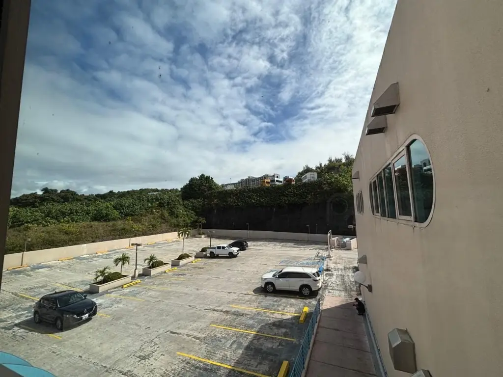 Picture 13