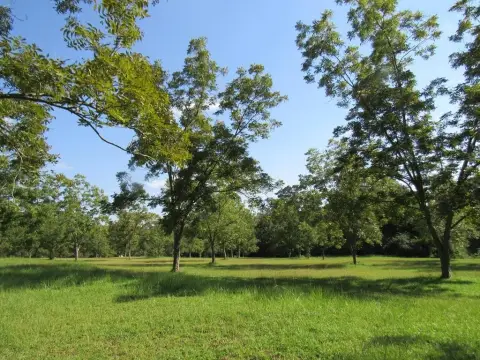 Residential Land in Dothan, Alabama