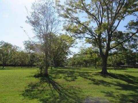 Residential Land in Dothan, AL