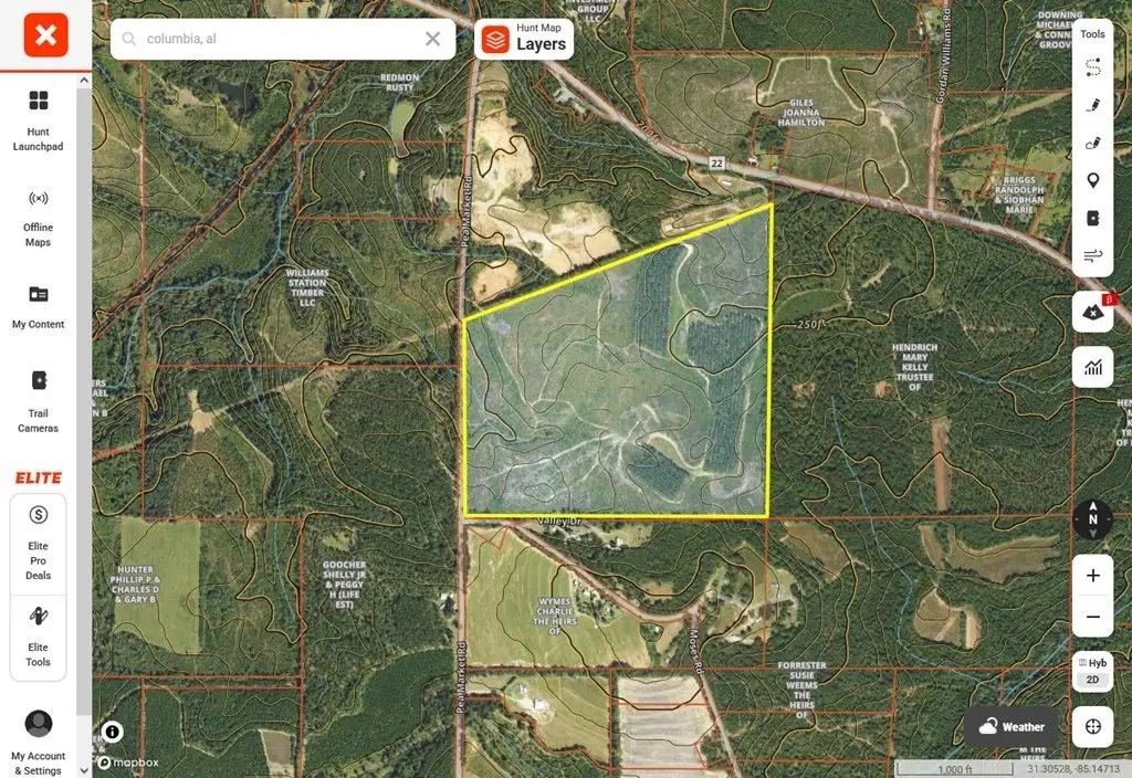 Picture 3