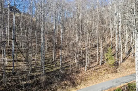 Mountain-View Property Near Waynesville, NC