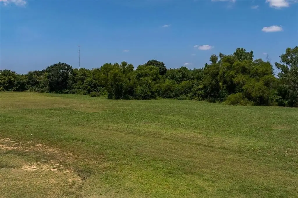 Picture 15