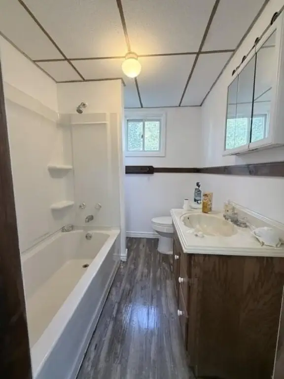 Picture 19