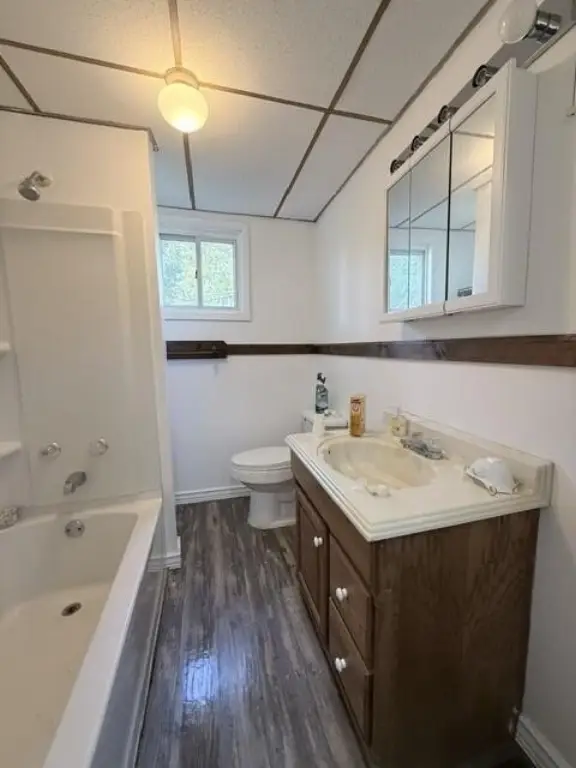 Picture 17