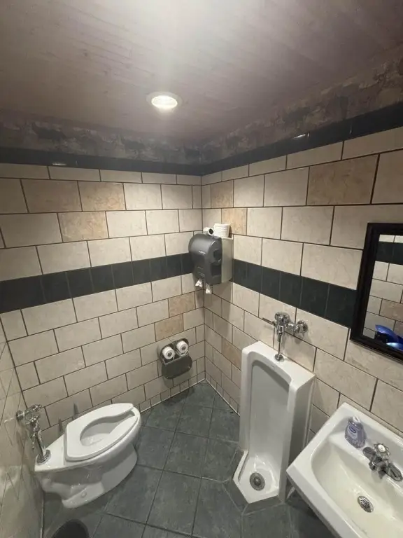 Picture 15