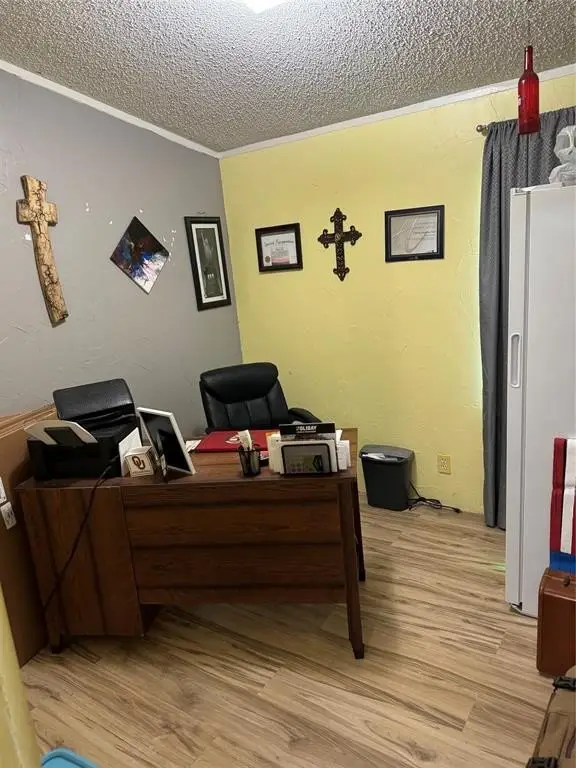 Picture 5