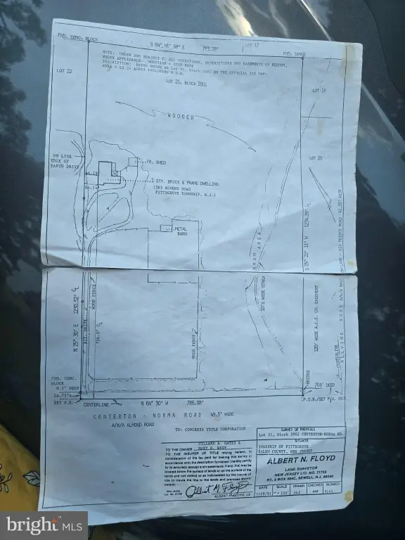 Picture 15