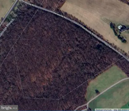 Boyds, MD Wooded Land Parcel