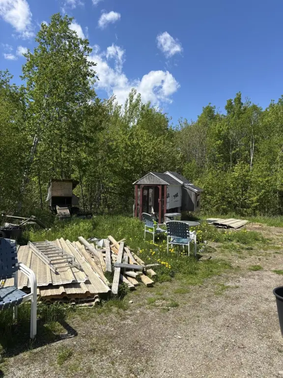 Picture 4