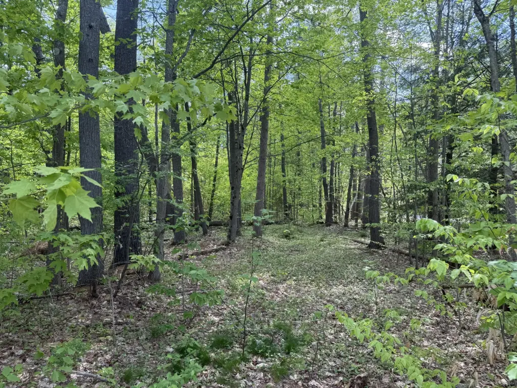 Picture 4