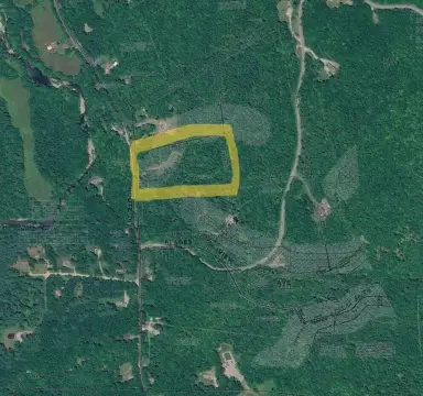 Wooded Homesite Land