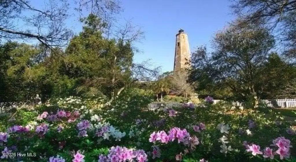 Picture 8