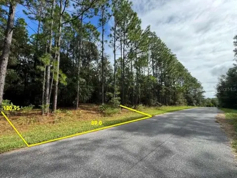 Residential Lot in Citrus Springs