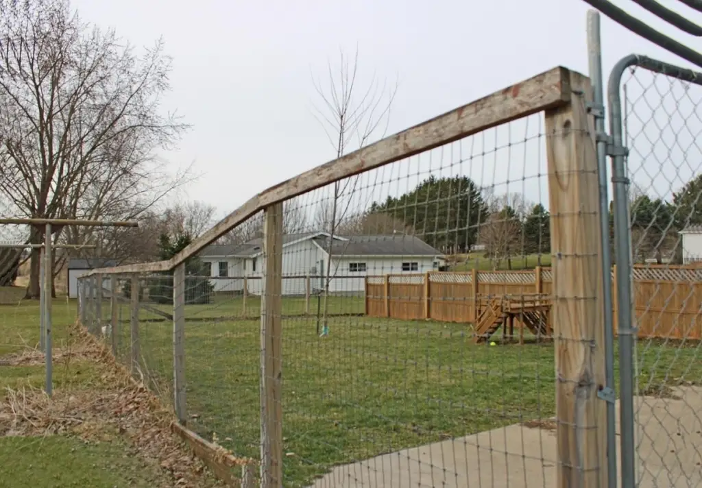 Picture 11