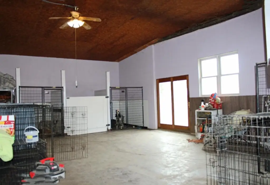 Picture 8