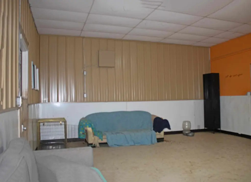 Picture 9