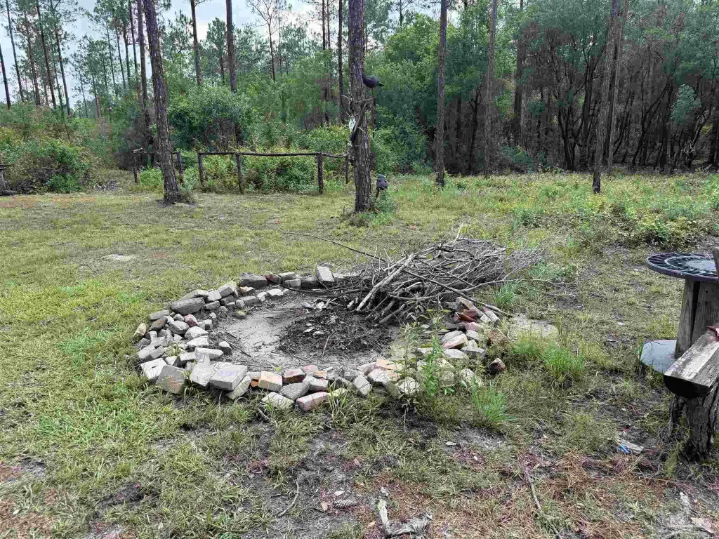 Picture 14