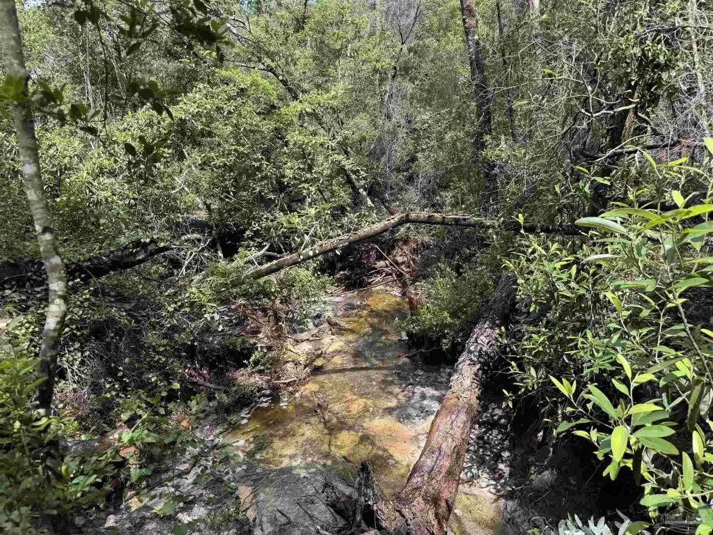 Picture 37