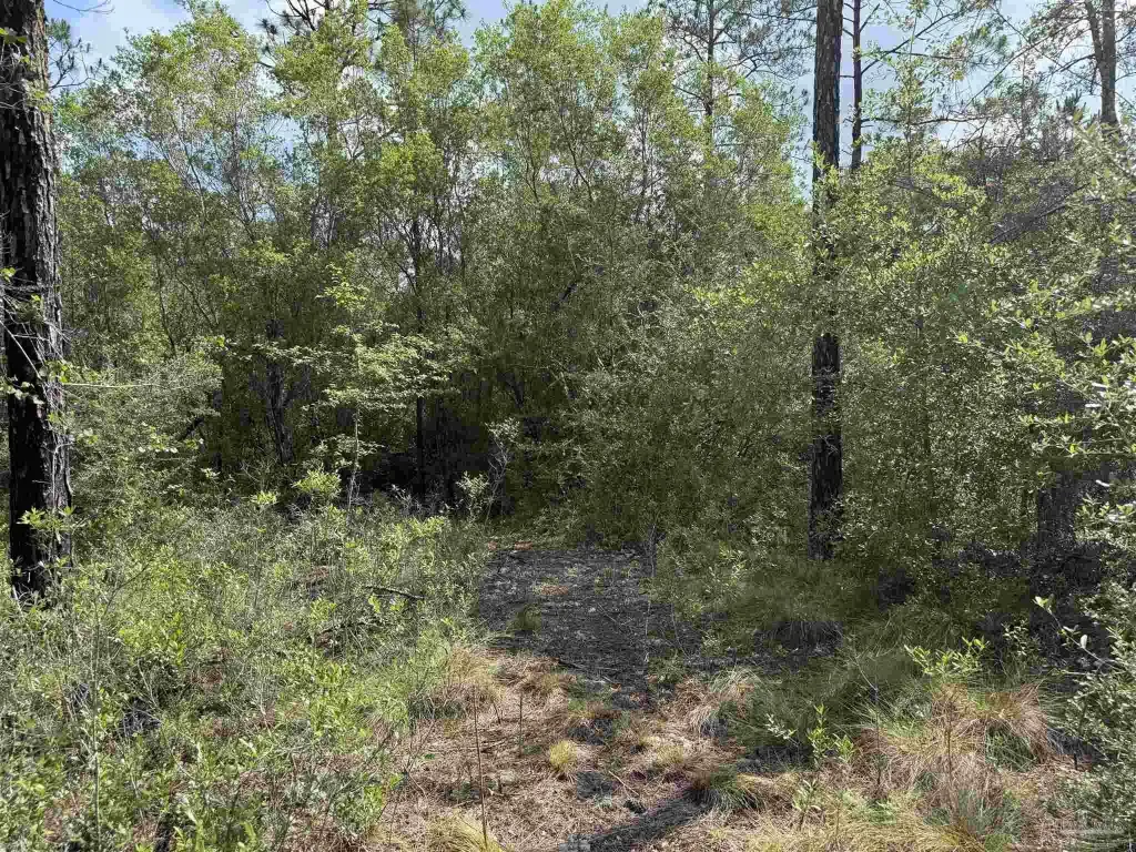 Picture 27