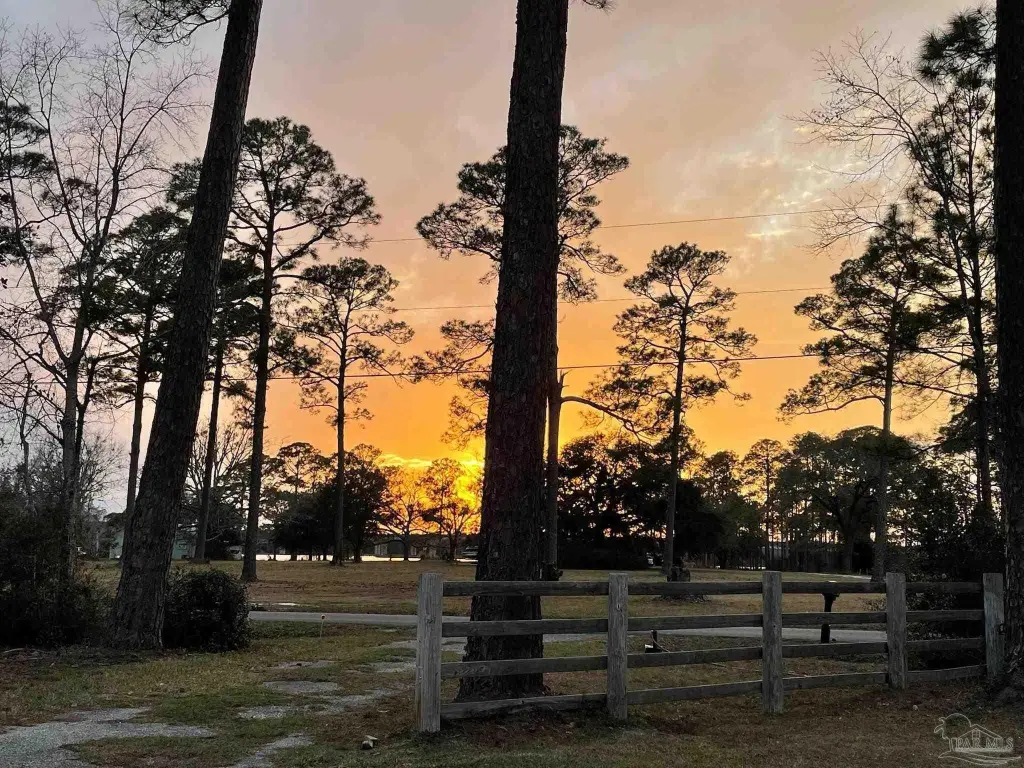 Picture 32